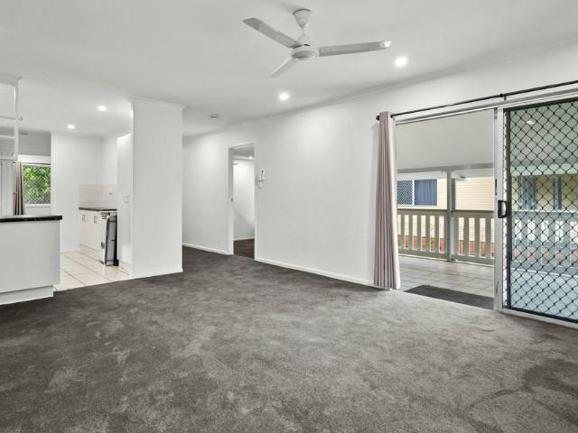 RENOVATED DELIGHT