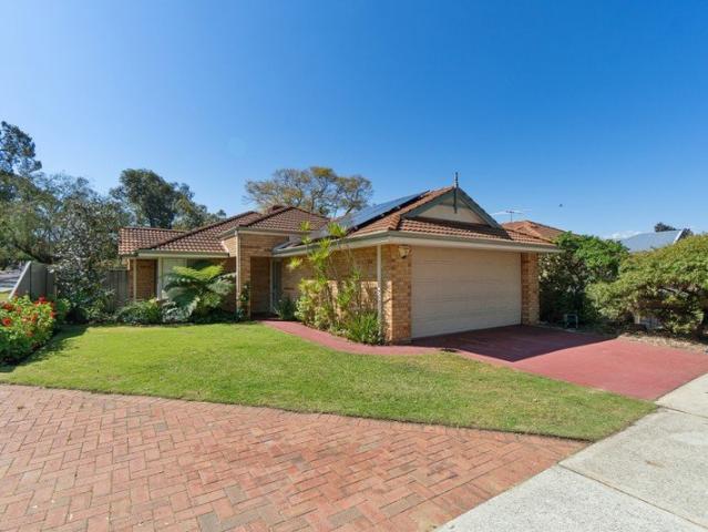 Renovated Delight