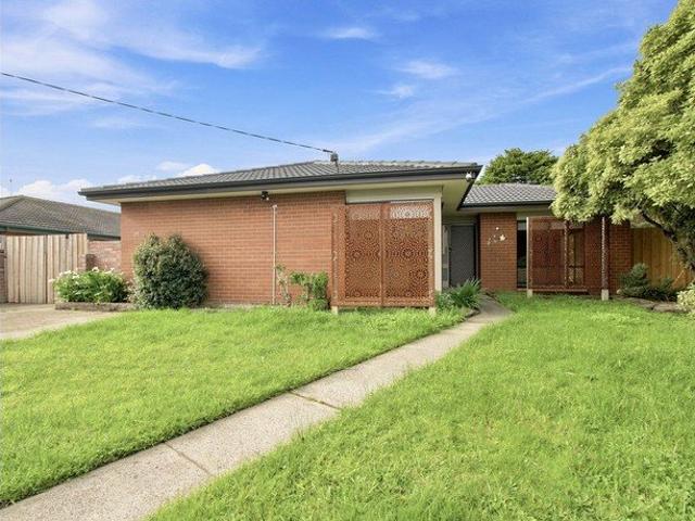 Renovated Delight