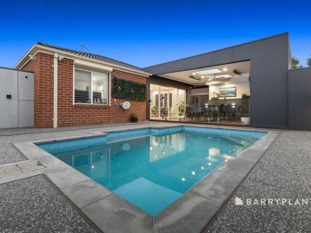 RENOVATED DELIGHT