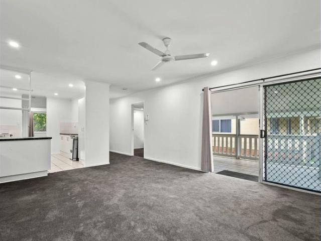 RENOVATED DELIGHT
