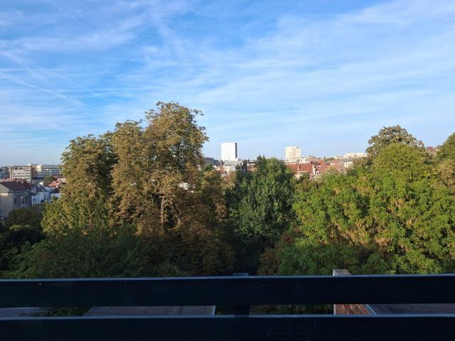 Renovated duplex with terrace overlooking Pierre Paulus park