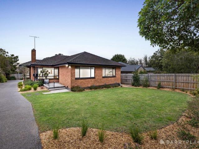 Renovated Family Comfort in a Leafy Bulleen Pocket