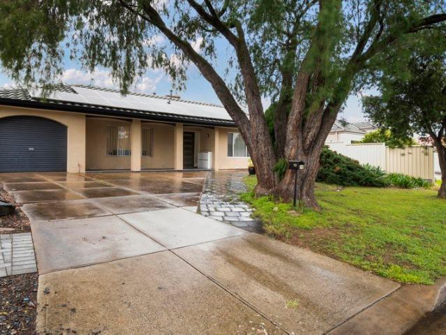 Renovated Family Entertainer on 641sqm with an Impressive 18.5m Frontage
