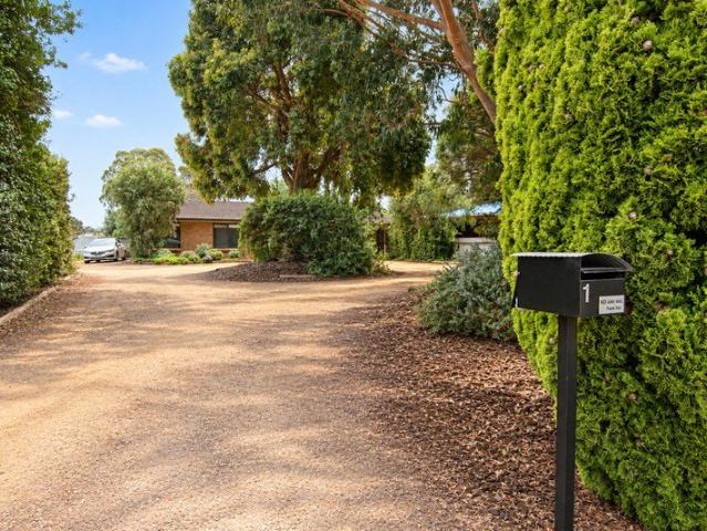 Renovated Family Home on Huge 1,623m² Allotment