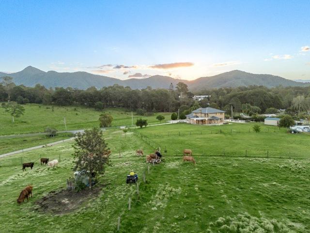 Renovated Family Luxury on 5.3 Acres of Fully Usable Land