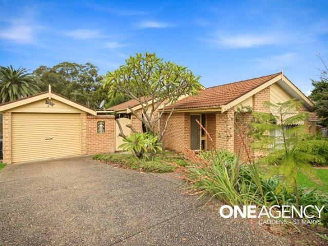 RENOVATED FAMILY LIVING WITH A SPARKLING SALTWATER POOL!