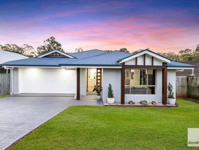 Renovated Family Living with Space, Style & a Leafy Outlook