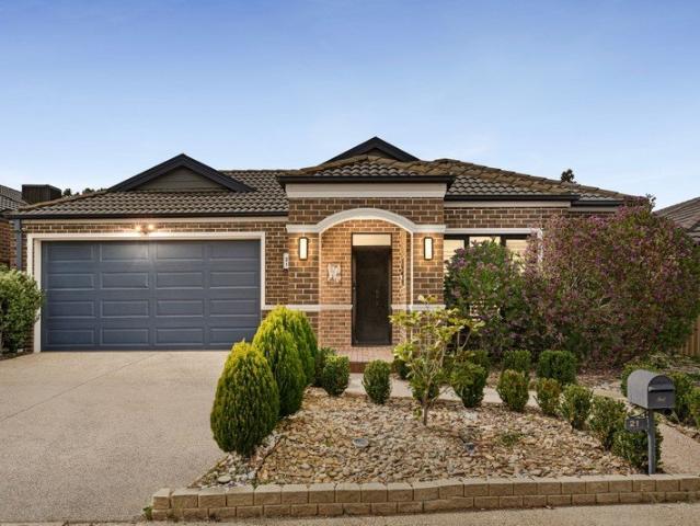Renovated Family Living with Space to Entertain