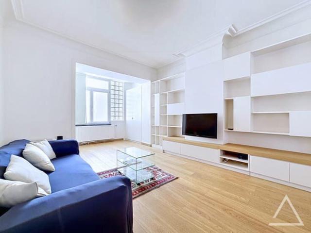 Renovated furnished apartment in the European district
