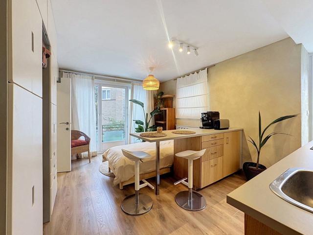 Renovated furnished studio with terrace in Auderghem
