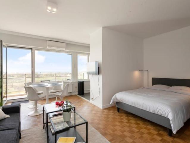 Renovated furnished studio, south facing terrace & parking