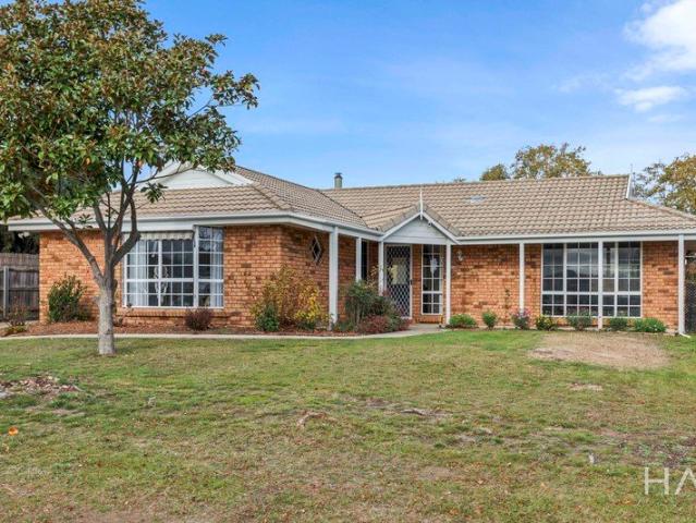 Renovated kitchen, space where it counts, convenience to match
