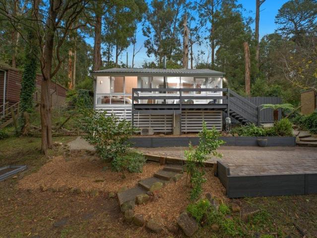 Renovated Hills Retreat with Treetop Views