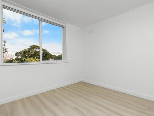Renovated Inner North Gem with Lifestyle Appeal