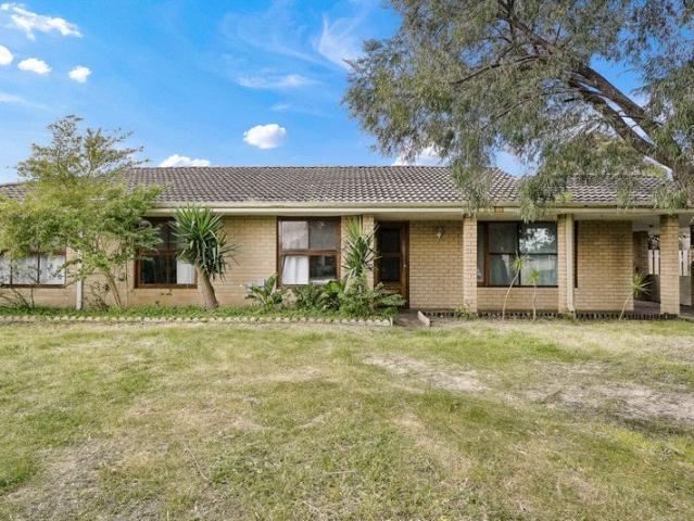 Renovated Living, Exciting Potential!
