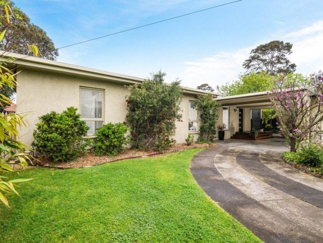 Renovated Living in a Coveted Hamlyn Heights Pocket 641m2