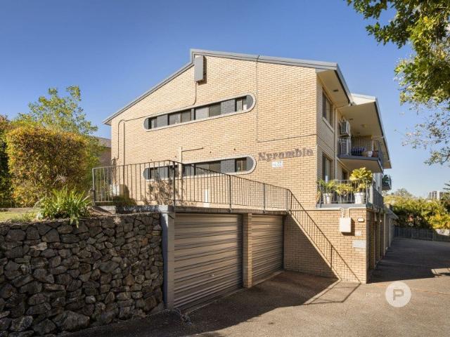 Renovated, Light filled apartment in convenient location