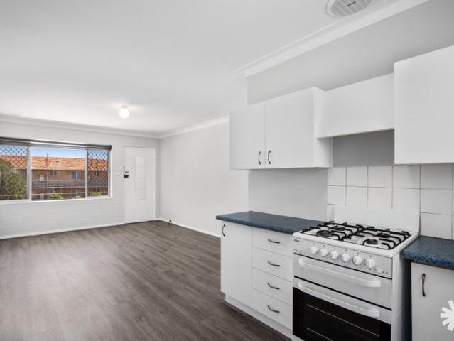 RENOVATED, LIGHT FILLED & ULTRA CONVENIENT