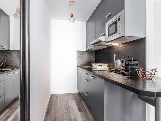 Renovated modern studio in Frankfurt am Main with balcony, kitchen, full furnished, good located, Frankfurt Amsterdam Apartments for Rent