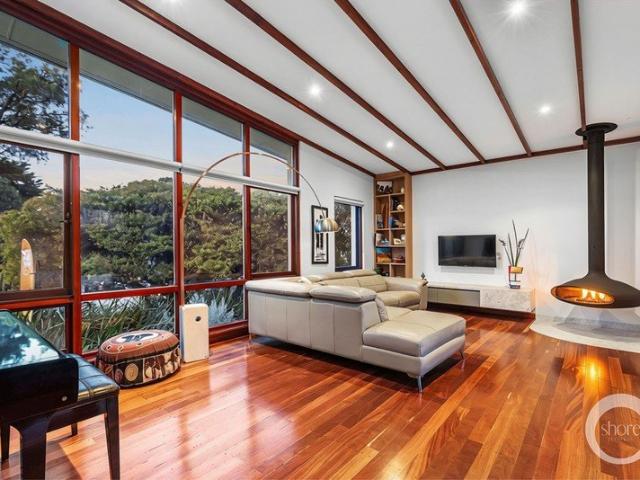 Renovated Mid Century Home | High on the Hill with Treetop Views