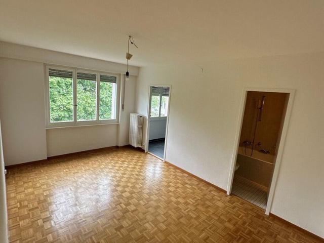 Renovated studio near the Chuv and metro! Quiet and green area!