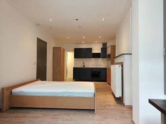Renovated studio for rent near Gent Zuid Students only