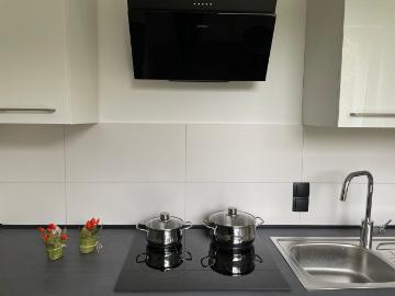 Renovated, super central, modern flat in Mitte, 2 rooms plus kitchen and balcony, Berlin Amsterdam Apartments for Rent