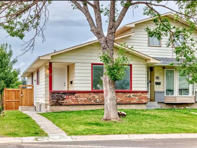 Renovated Pet friendly 2 bedroom basement in Beddington Heights