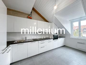 Renovated penthouse duplex in old Carouge