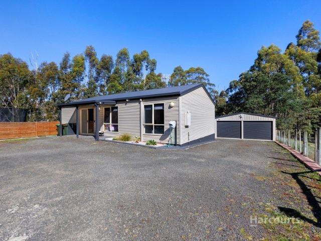 Renovated, With a Shed & Worth the Wait
