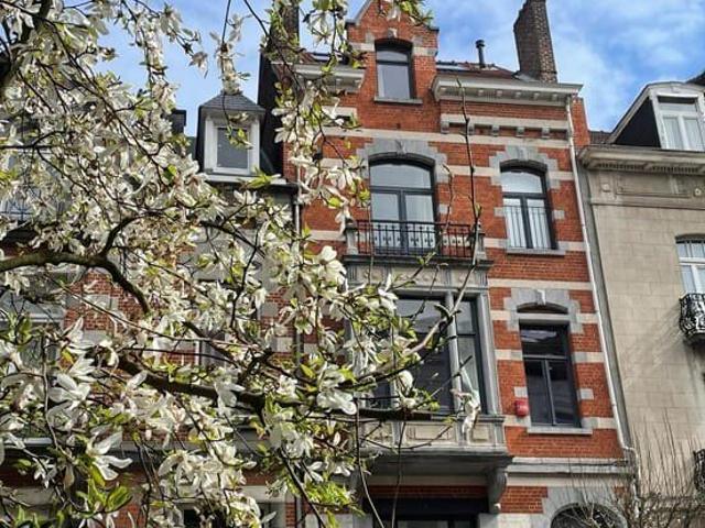 Renovated town hown house in quiet central location