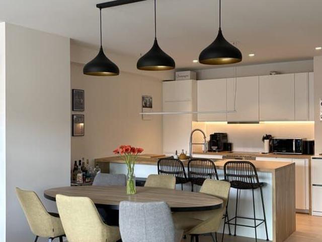 Renovated two bedroom apartment with terrace, Plasky area