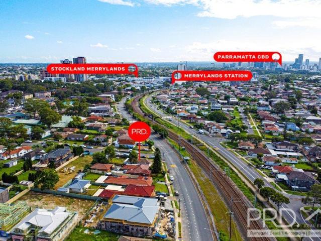 RENOVATERS DELIGHT