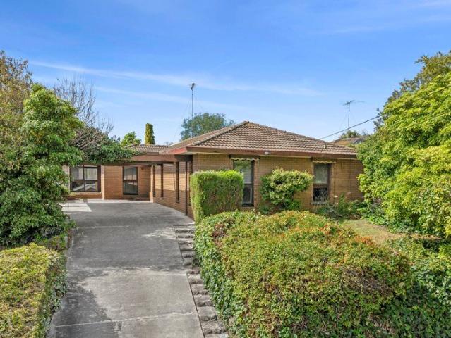 Renovation Opportunity in the Heart of Lara
