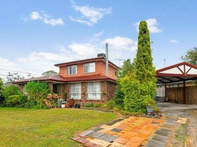Renovator and Developer Delight