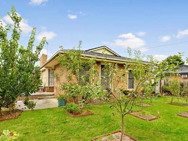 Renovators delight