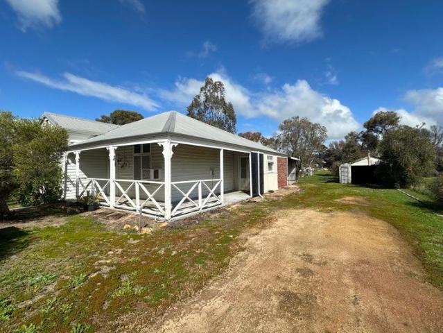 RENOVATORS DELIGHT