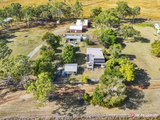 Renovator's Delight Endless Potential