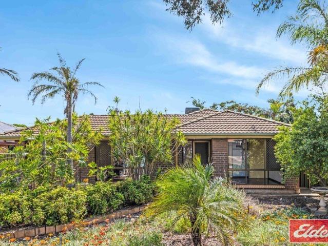 Renovators Delight with Summertime Fun