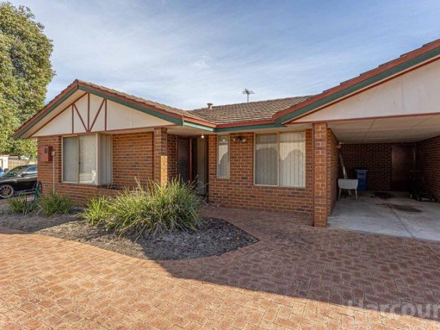 Renovator's Dream in Prime Location!