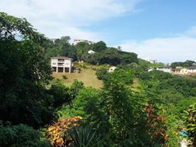 renovators dream with seaviews sole.