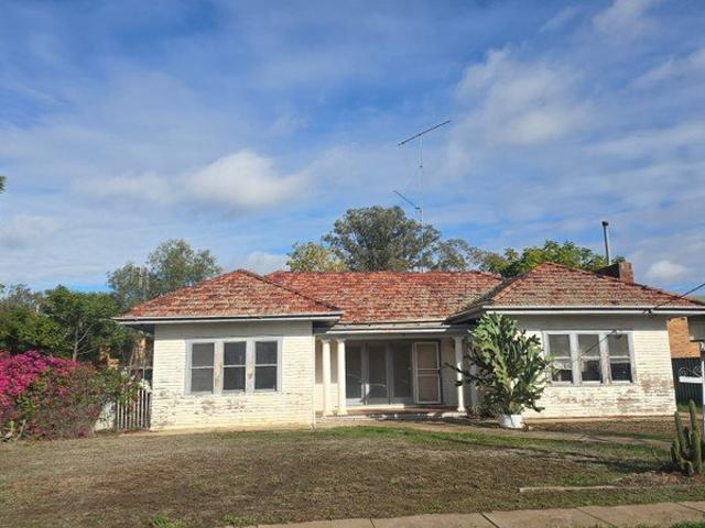 Renovator's Dream
