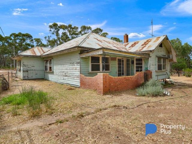 Renovator's Project