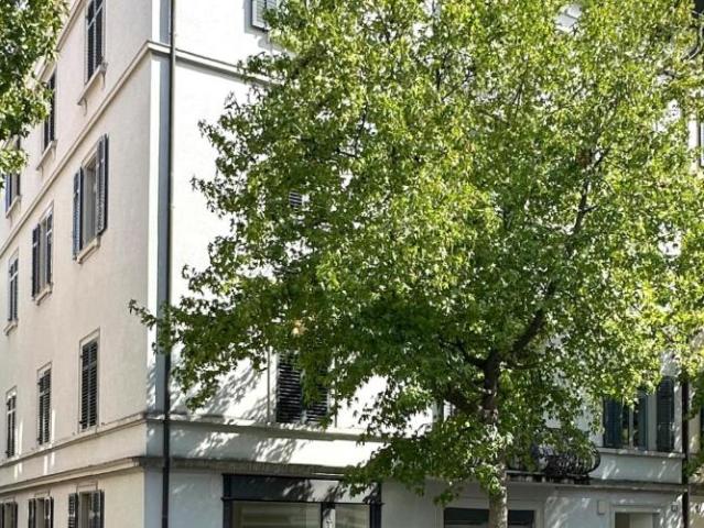 Rénové – charmant – spacieux – en plein cœur de Zurich!