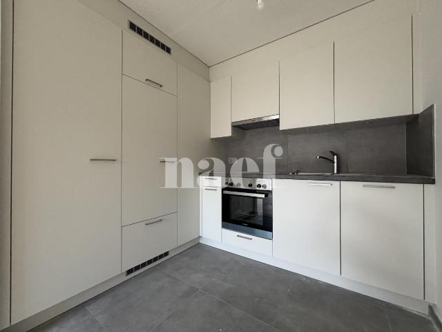 RENOVE Appartement de 2 pièces idéalement situ.