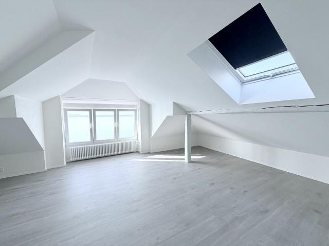 Rénové ! Duplex de 4.0 pièces avec vue sur le lac !