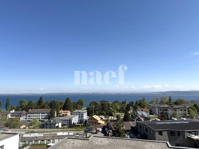 RENOVE Superbe appartement de 3 pièces avec vue sur.