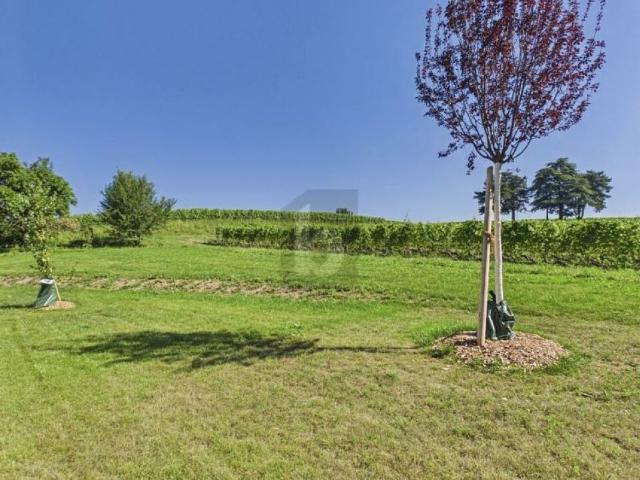 RÉNOVÉE AVEC JARDIN, AU CALME DANS LE VIGNOBLE