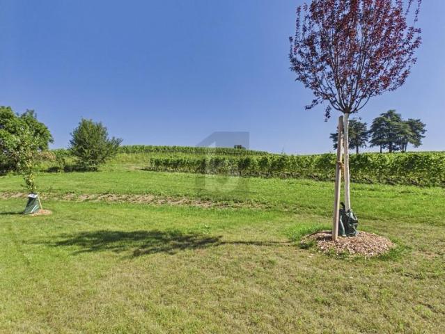 RENOVIERT MIT GARTEN, RUHIG IM WEINBERG
